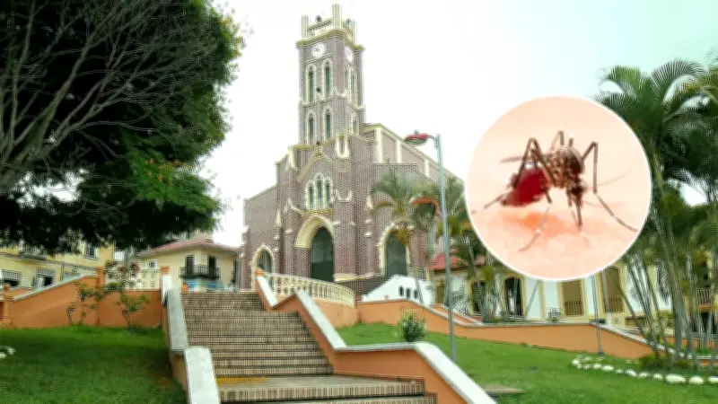 Alerta por fiebre amarilla en Colombia: zonas de alto riesgo en Semana Santa