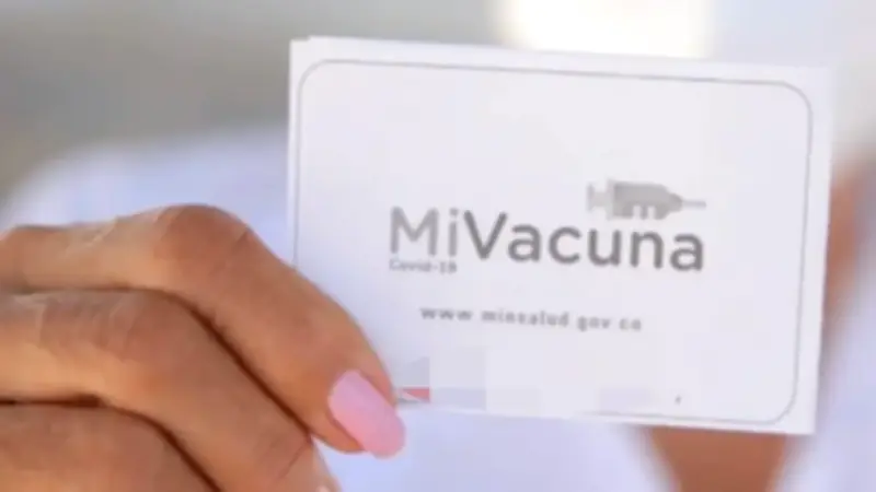 Alerta por fiebre amarilla en Tolima: recomendaciones clave para viajeros en Semana Santa