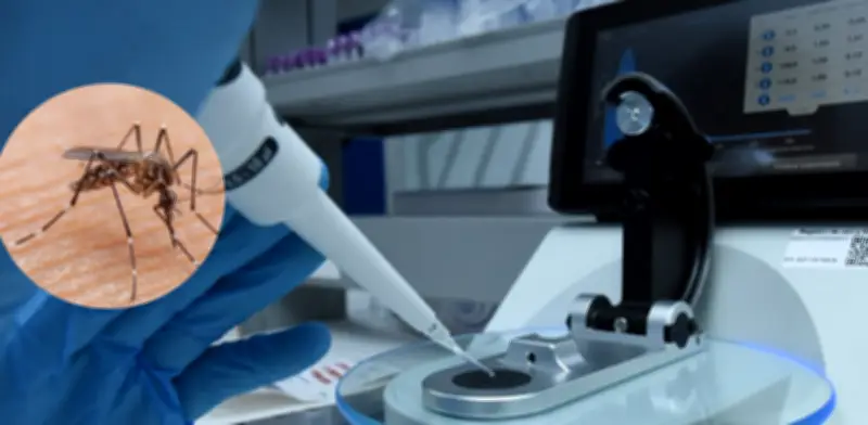 Alerta sanitaria en Cundinamarca: 4 muertes por fiebre amarilla y aumento del dengue en Semana Santa