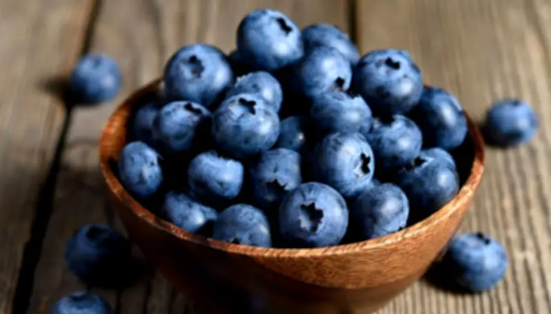 Alerta sanitaria en EE. UU. por arándanos congelados contaminados con Listeria