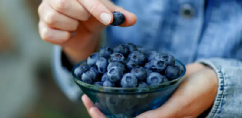 Alerta sanitaria en EE.UU.: FDA retira arándanos congelados por riesgo de muerte