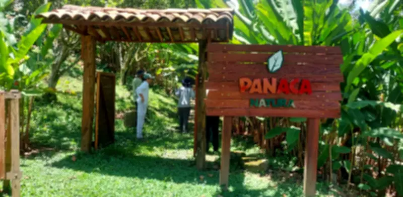 Anla aprueba plan ambiental para Territorio Panaca en Quindío, dando luz verde a proyecto turístico sostenible