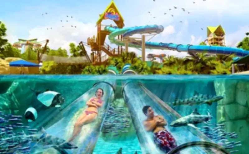 Aquatica Orlando: El parque acuático con agua climatizada que conquista a viajeros colombianos