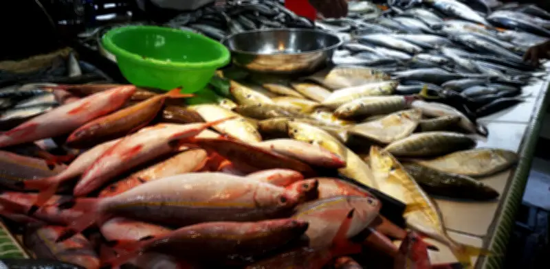 Aranceles con Ecuador generan incertidumbre en el consumo de pescado para Semana Santa en Colombia