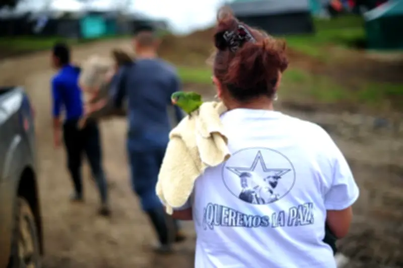 ARN defiende ajuste en subsidios a excombatientes: 'Es cuestión de equidad'