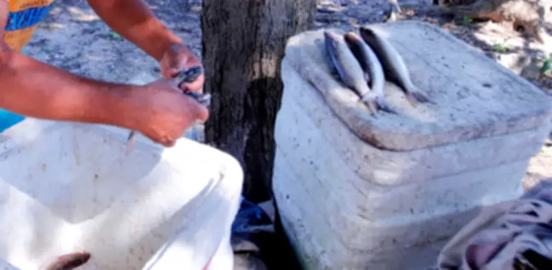 Atlántico refuerza vigilancia sanitaria en Semana Santa ante riesgos por consumo de pescado