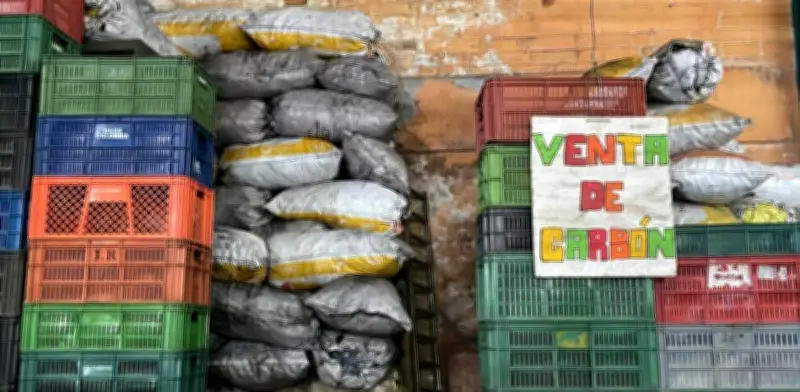 Autoridades incautan 274 bultos de carbón ilegal en Fusagasugá, Sumapaz