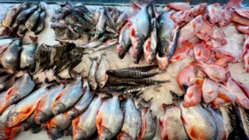 Autoridades refuerzan controles a venta de pescado en Barrancabermeja para Semana Santa