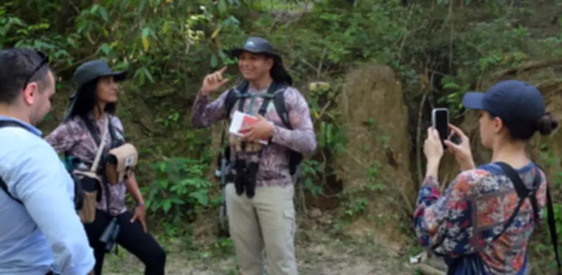 Avicomsi: Jóvenes de Guachaca lideran aviturismo responsable en la Sierra Nevada