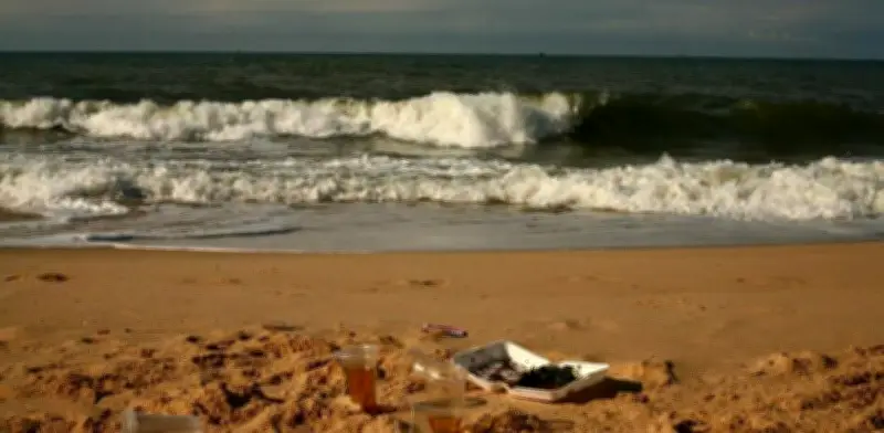 Bacterias marinas clave degradan plásticos: estudio del MIT revela cooperación microbiana