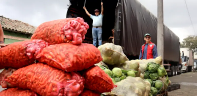 Banco de Alimentos de Bogotá distribuyó 22.711 toneladas en 2025 y proyecta alcanzar 25.000 este año