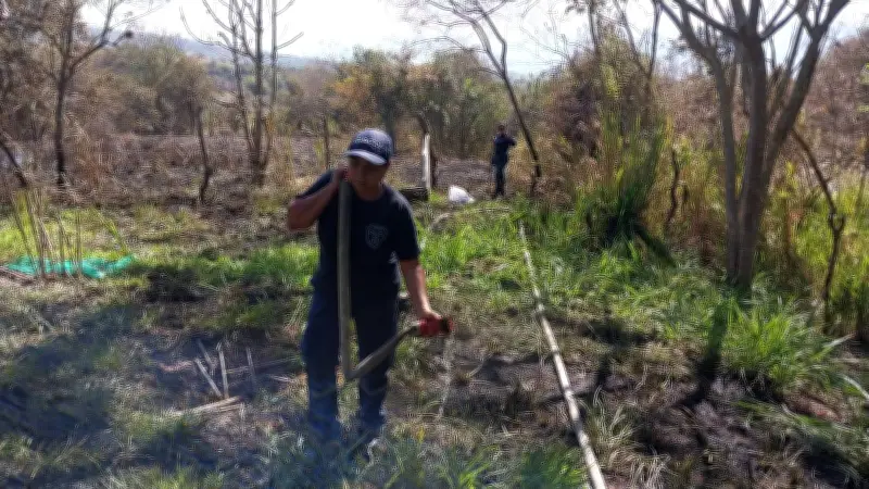 Barichara enfrenta quinto incendio forestal del año: 3,5 hectáreas consumidas