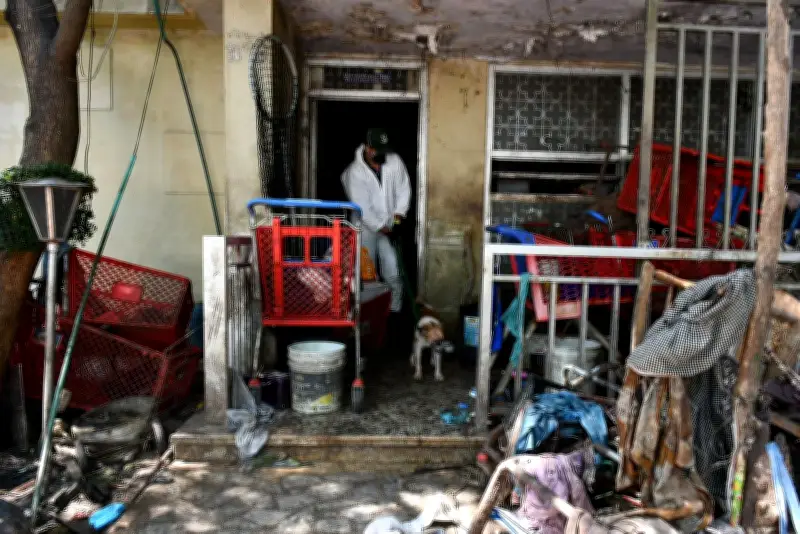 Barranquilla rescata más de 100 animales en vivienda insalubre con condiciones extremas