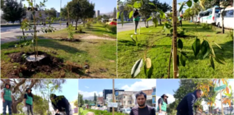 Barrio Olarte en Bosa recibe 119 árboles del Jardín Botánico para combatir contaminación