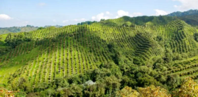 BBVA otorga préstamo de US$16 millones a Invesmar para agricultura regenerativa y carbono neutral