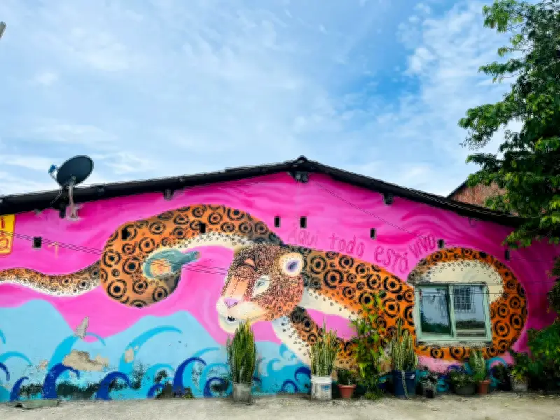 Biblioteca pública renace en Juribará, Nuquí: un faro de conocimiento en el Chocó