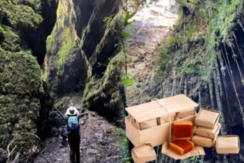 Bocadillo Veleño Nativo: Un dulce tradicional que ahora siembra árboles en Santander