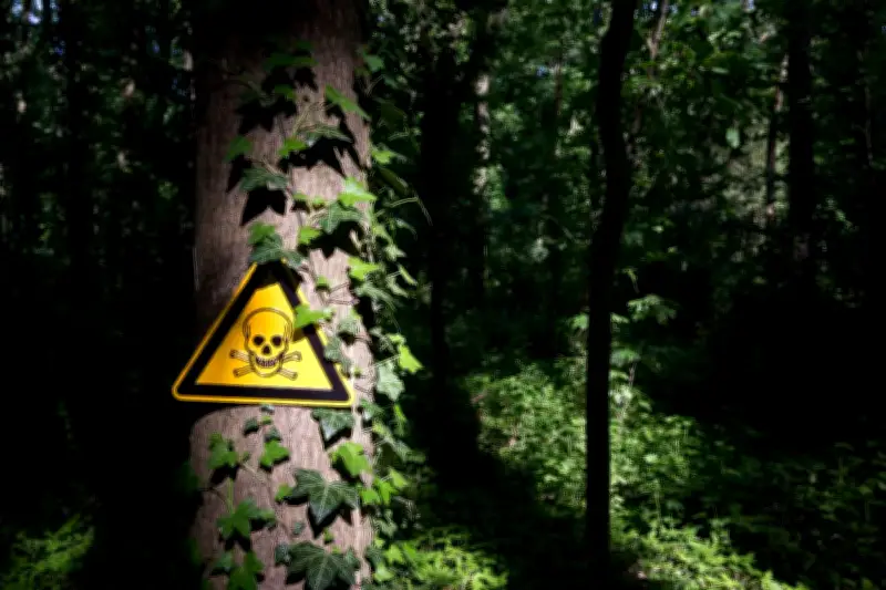 Bogotá: Alerta por veneno en calles del barrio Quirigua que amenaza a perros y niños