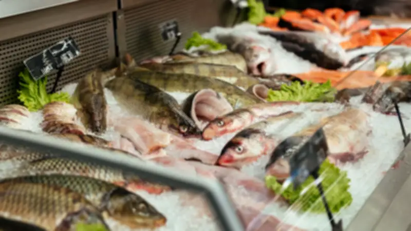 Bogotá decomisa 200 kilos de pescado en operativos de Semana Santa por calidad