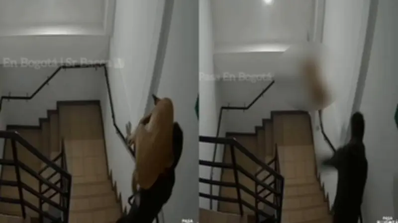 Bogotá: Hombre lanza a perrita por escaleras en Barrios Unidos, autoridades rescatan animal