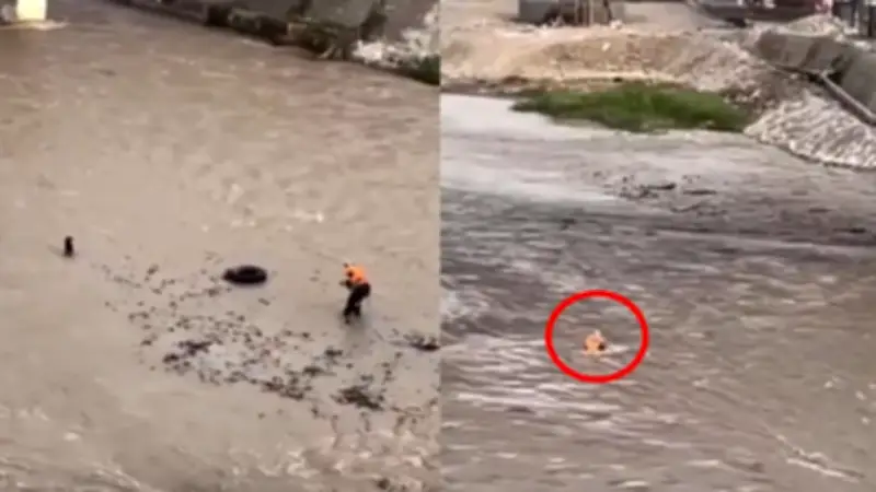 Bombero perdió la vida en Perú al intentar rescatar perrito atrapado en caudaloso río