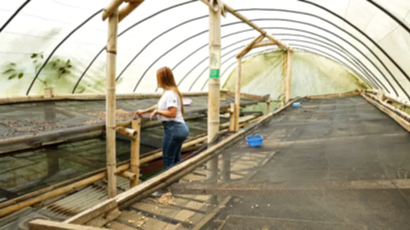 Bosque Colibrí: santuario natural a minutos de Cali para el ecoturismo y bienestar