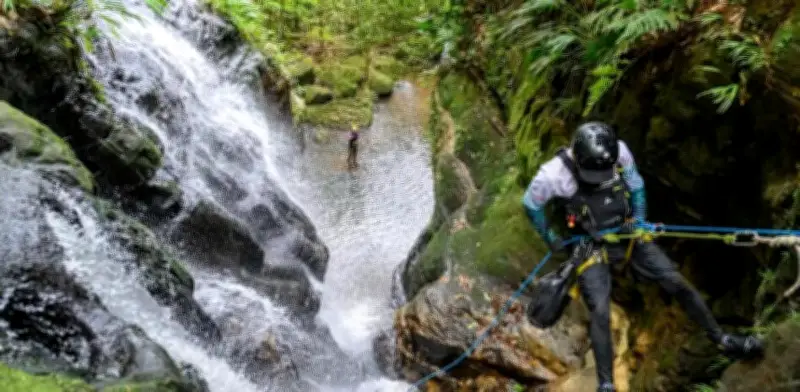 Bosques de Camaxagua: El secreto verde del Meta donde la aventura se vive paso a paso