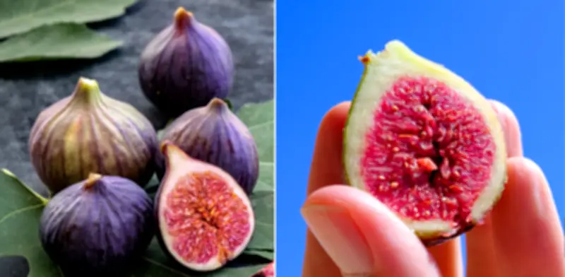 Breva vs Higo: Diferencias, Propiedades Nutricionales y Usos en Colombia