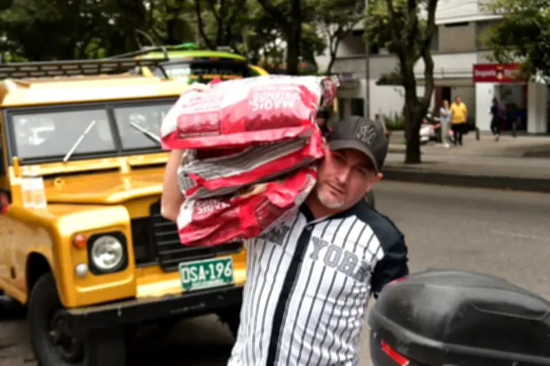 Bucaramanga supera meta de recolección de alimento para animales sin hogar en exitosa Radiotón