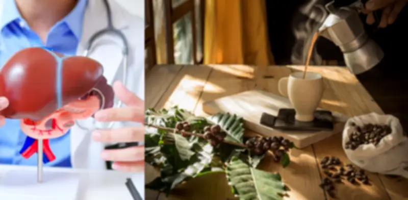 Café reduce riesgo de hígado graso y fibrosis hepática según metaanálisis internacional