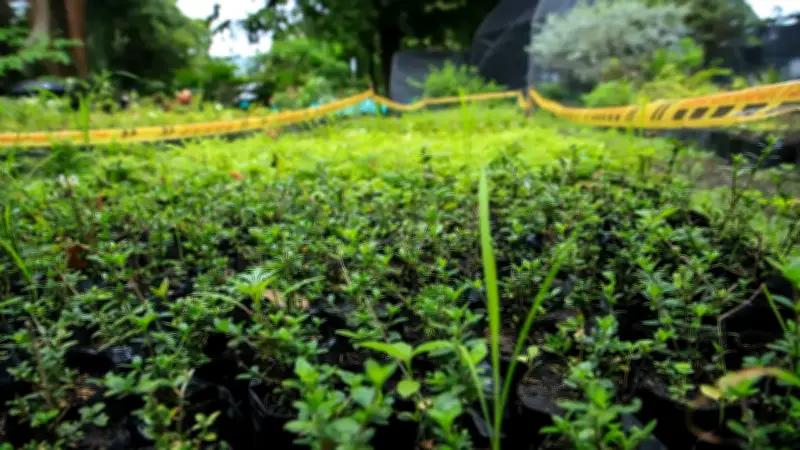 Cali intensifica vigilancia para proteger fauna y palma de cera en Semana Santa