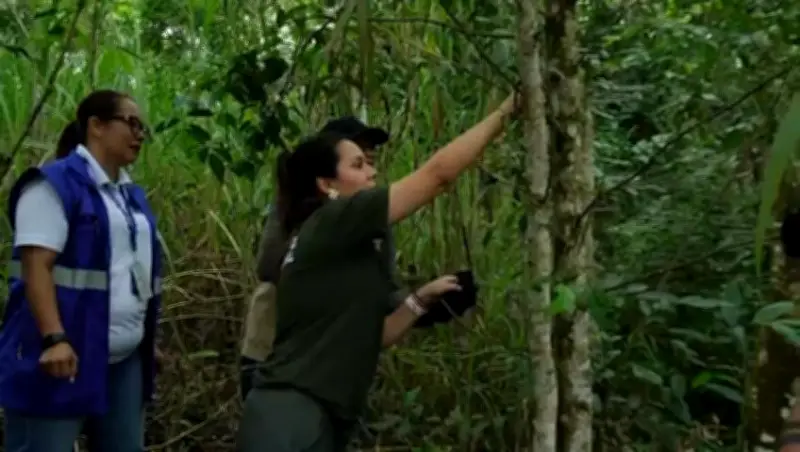 Cali libera 32 animales silvestres recuperados en el Día Mundial de la Vida Silvestre