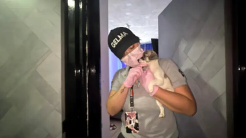 Cali: Multa superior a $60 millones y proceso penal por maltrato a nueve animales