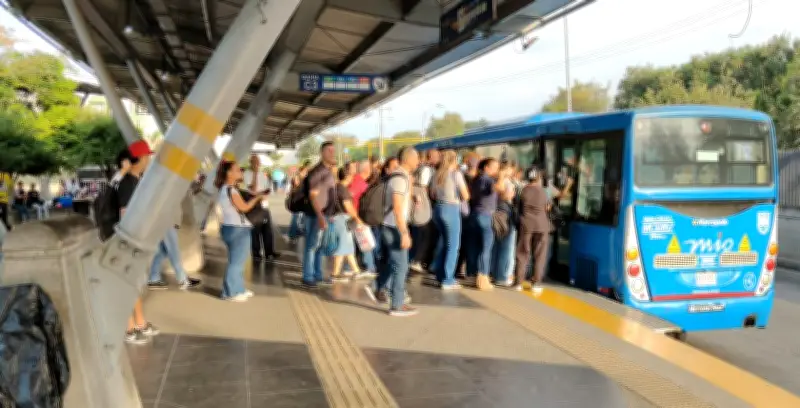 CaliMIO operará rutas especiales para facilitar el voto en 206 puestos electorales este domingo