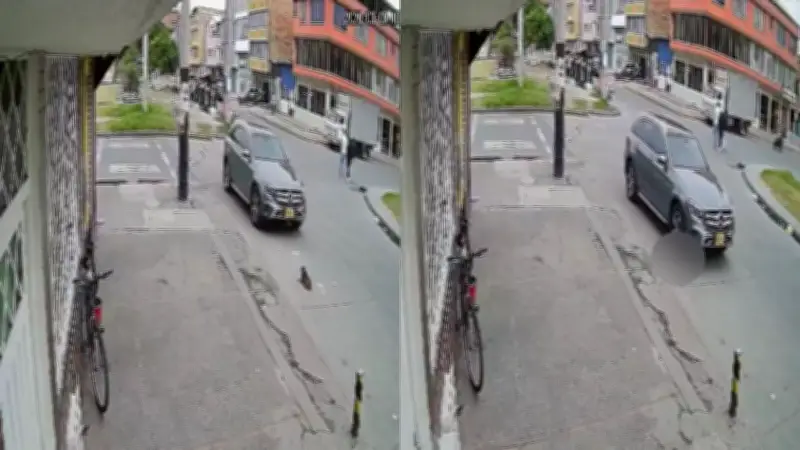 Camioneta atropella a perrito en Kennedy: conductor huye tras presunto acto de sevicia