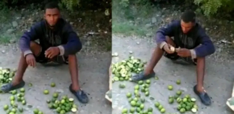 Campesino obliga a ladrón a comerse los limones que robó en su finca