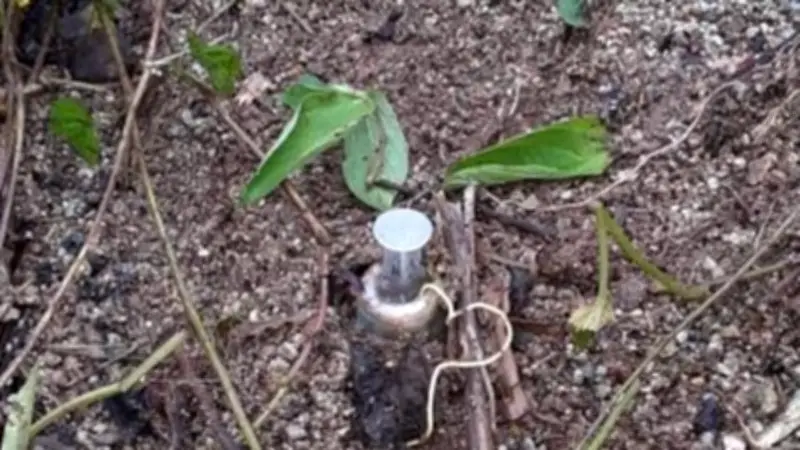 Campesinos heridos por mina antipersonal en La Vega, Cauca; tío del gobernador entre víctimas