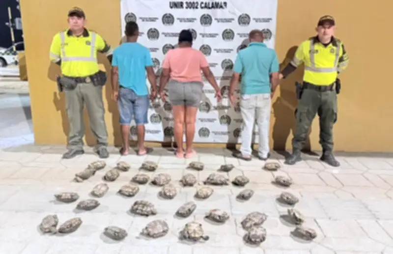 Capturan a tres personas por tráfico ilegal de 34 hicoteas en Bolívar durante Semana Santa