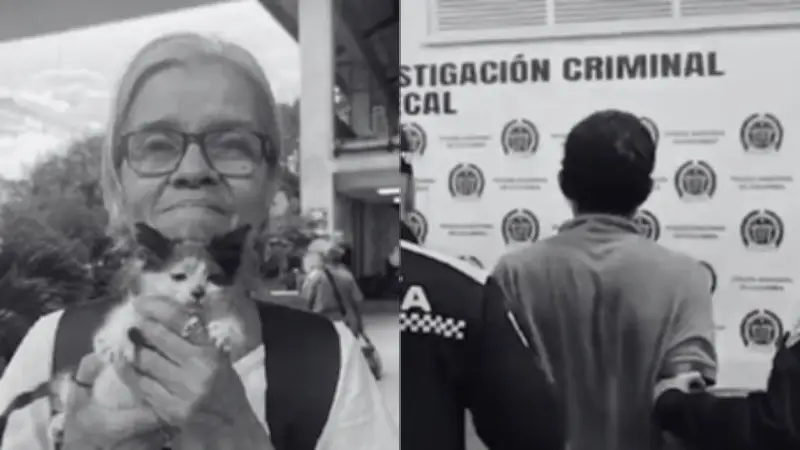 Capturan en Cali a hombre señalado de asesinar a su madre, una líder animalista