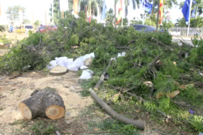 Cartagena avanza en construcción del intercambiador La Carolina: cronograma y estrategias de movilidad