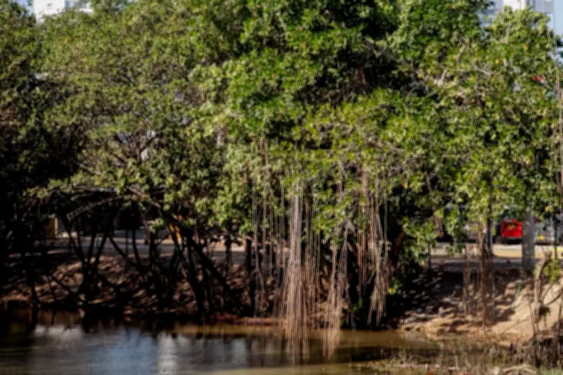 Cartagena avanza en Política Pública de Educación Ambiental con aprobación de Planeación