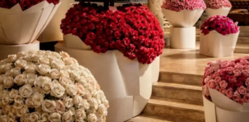 Cartagena se viste de flores en Semana Santa con exposición 'Donde Florece el Tiempo'