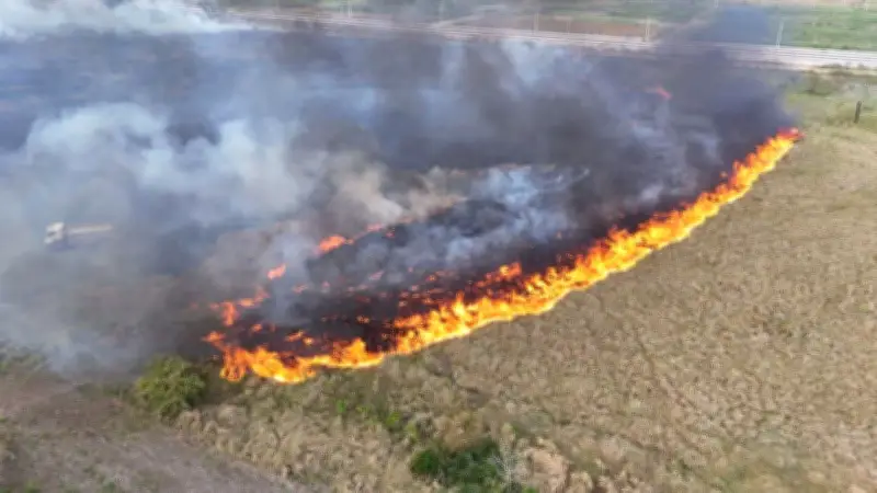 Casanare en alerta roja: 15 municipios afectados por incendios forestales que han consumido miles de hectáreas