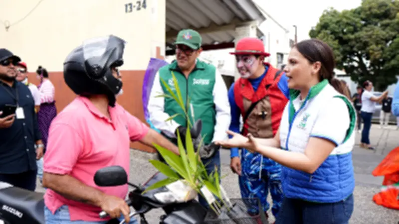 Cdmb y Vanguardia entregan 35.000 plántulas en Bucaramanga para reemplazar palma de cera