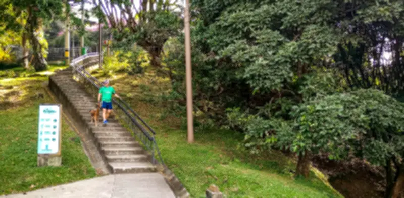 Cerro Nutibara de Medellín: 90 especies de flora y 150 de fauna en un ecosistema urbano clave