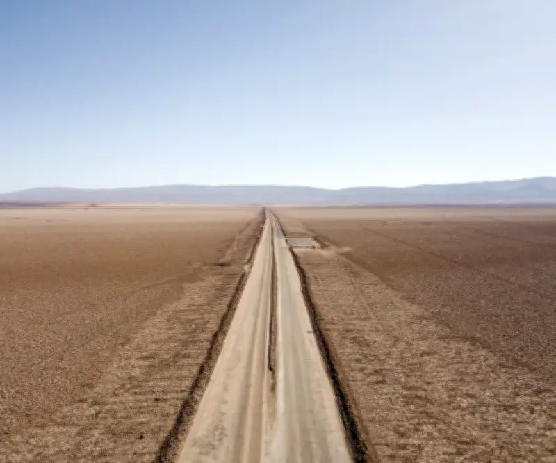 Chile modera postura ambiental: defensa de pingüinos pone en riesgo créditos verdes