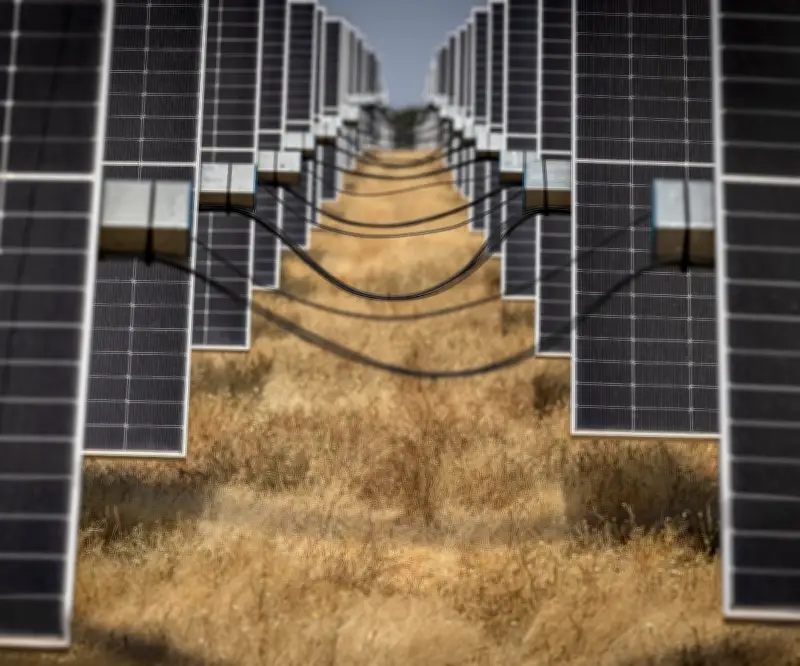 China critica el plan 'Hecho en Europa' de la UE por ser proteccionista y discriminatorio