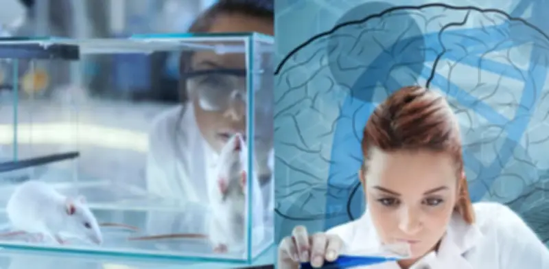 Científicos alemanes reviven tejido cerebral de ratón tras vitrificación a -196°C