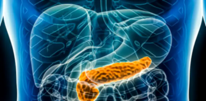 Científicos de Harvard desarrollan 'páncreas cyborg' que regenera tejido funcional para tratar diabetes