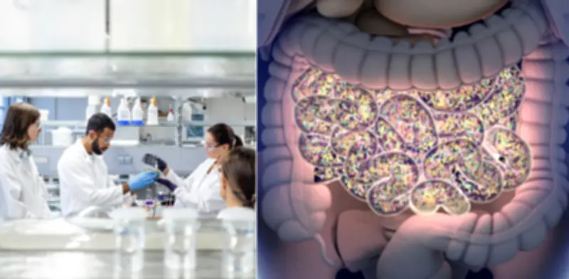 Científicos identifican bacteria intestinal que acelera pérdida de memoria en ratones